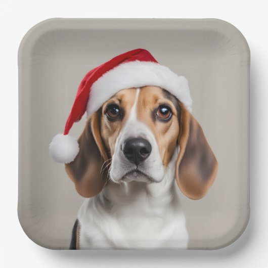 Beagle Christmas Papieren Bordje (Voorkant)