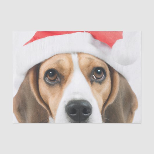Beagle Christmas Tissuepapier (Voorkant)