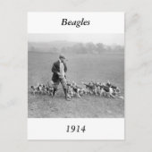 Beagle Club, 1914 Briefkaart (Voorkant)