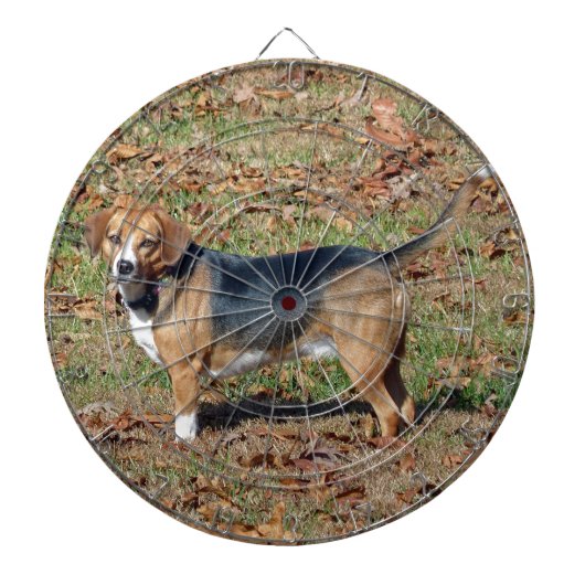 Beagle Dartbord (Voorkant)