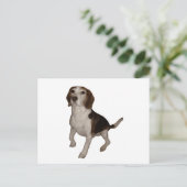 beagle derde briefkaart (Staand voorkant)