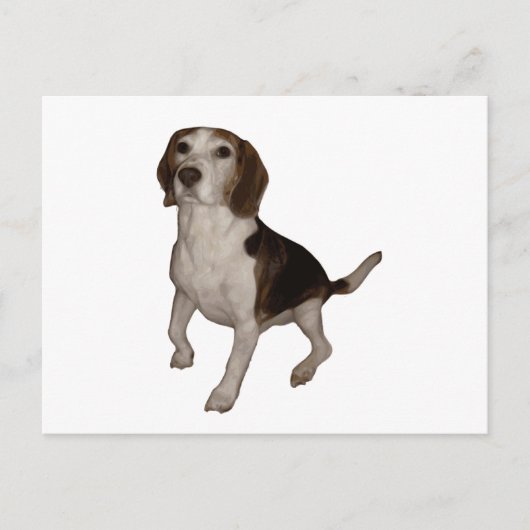 beagle derde briefkaart (Voorkant)