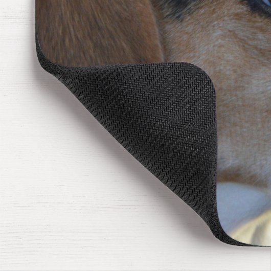 Beagle Determination Muismat (Hoek)