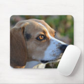 Beagle Determination Muismat (Met muis)
