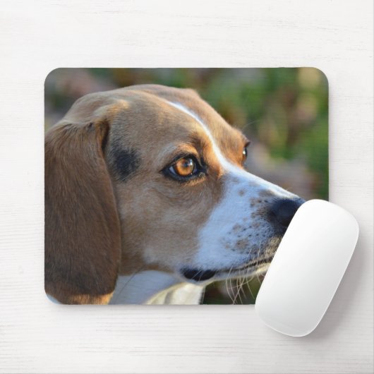 Beagle Determination Muismat (Met muis)