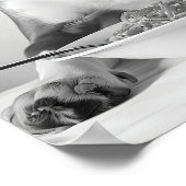 Beagle die pasta eet wandkunst, Spaghetti print, B Poster (Hoek)