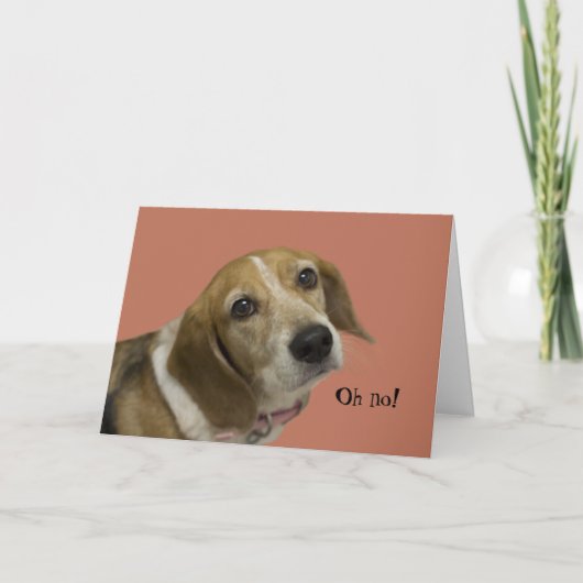 Beagle Dog Birthday Kaart (Voorkant)