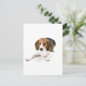 Beagle Dog Briefkaart (Staand voorkant)