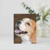 Beagle Dog Briefkaart (Staand voorkant)