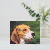 Beagle Dog Briefkaart (Staand voorkant)
