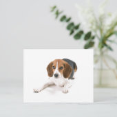 Beagle Dog Briefkaart (Staand voorkant)