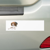Beagle Dog Bumpersticker (Op auto)