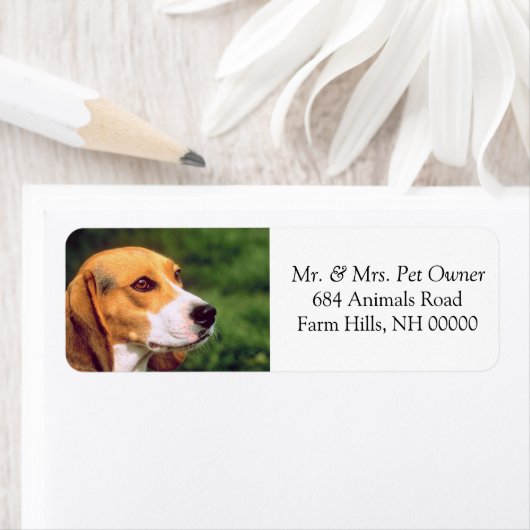 Beagle Dog Face Return Address Mailing Stickers (Insitu)