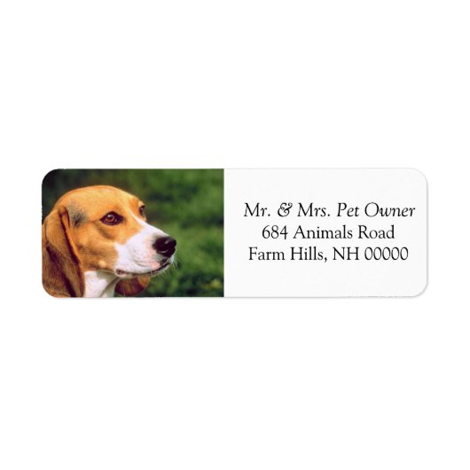 Beagle Dog Face Return Address Mailing Stickers (Voorkant)