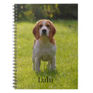 Beagle Dog Foto en Naam Gepersonaliseerd Notitieboek