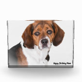 Beagle Dog. Fotoblokken (Voorkant)