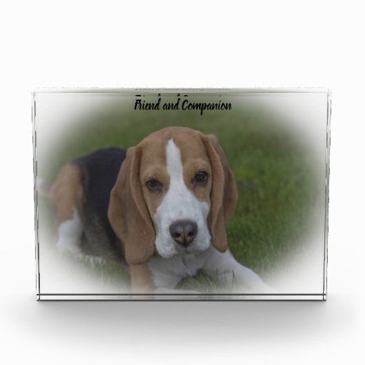 Beagle Dog Fotoblokken (Voorkant)