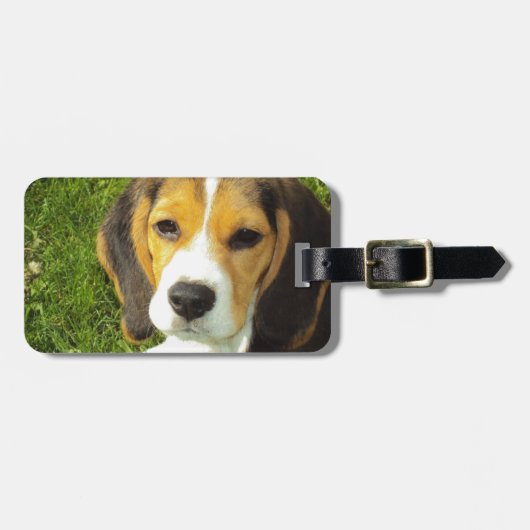 Beagle Dog Huisdieren Vrede Liefde Bagagelabel (Voorkant horizontaal)