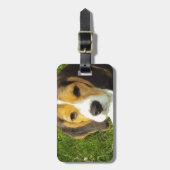Beagle Dog Huisdieren Vrede Liefde Bagagelabel (Voorkant verticaal)