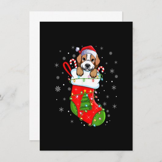 Beagle Dog In Christmas Socks Funny Santa Beagle X Kaart (Voorkant / Achterkant)