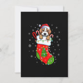 Beagle Dog In Christmas Socks Funny Santa Beagle X Kaart (Voorkant)