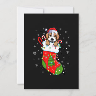Beagle Dog In Christmas Socks Funny Santa Beagle X Kaart