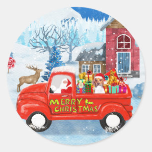 Beagle Dog in kerstcadeauwagen Ronde Sticker
