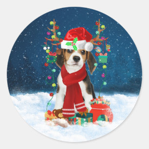 Beagle dog met kerstcadeaus ronde sticker