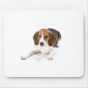 Beagle Dog Muismat