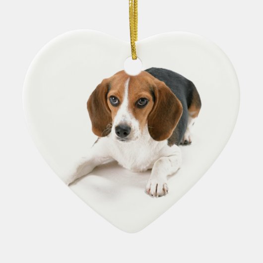 Beagle Dog Ornament (Voorkant)