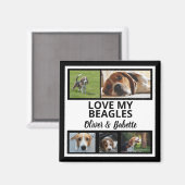 Beagle Dog Owner and Proud Puppy Dog Photo Collage Magneet (Voorkant / Achterkant)