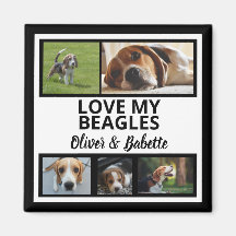 Beagle Dog Owner and Proud Puppy Dog Photo Collage