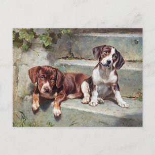 Beagle Dog Puppies  Dierlijk Briefkaart