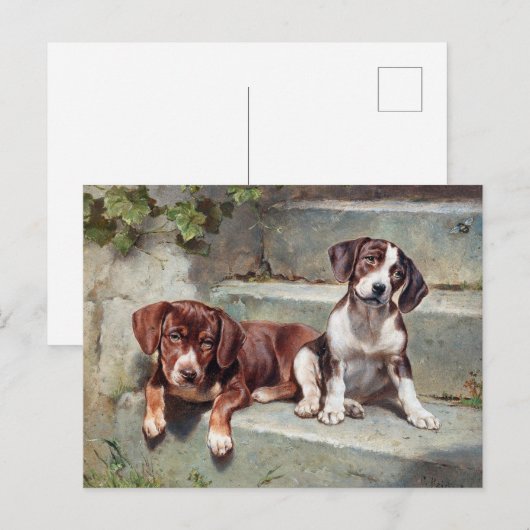 Beagle Dog Puppies  Dierlijk Briefkaart (Voorkant / Achterkant)