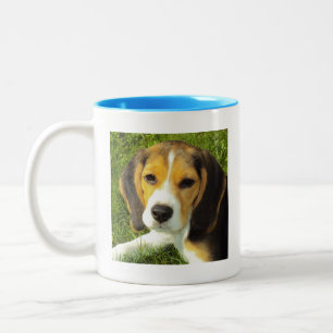 Beagle Dog Puppy Mok Coffee Mok Cup