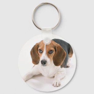 Beagle Dog Sleutelhanger