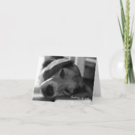 Beagle Dog Snoopy close-up foto Kaart