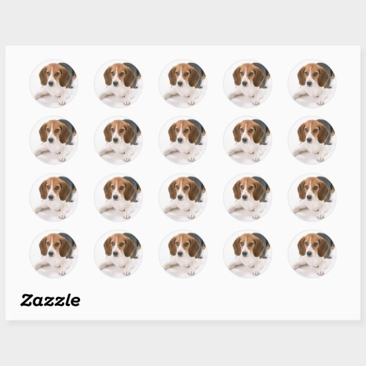 Beagle Dog Stickers (Vel)