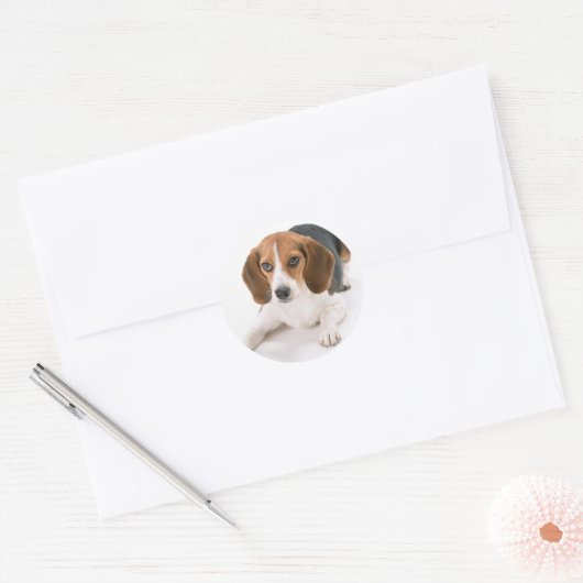 Beagle Dog Stickers (Envelop)