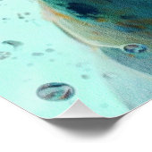 Beagle dog swimming in water 002 perfect poster (Hoek)