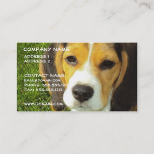 Beagle Dog Visitekaartje