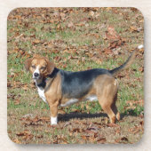 Beagle Drankjes Onderzetter (Voorkant)