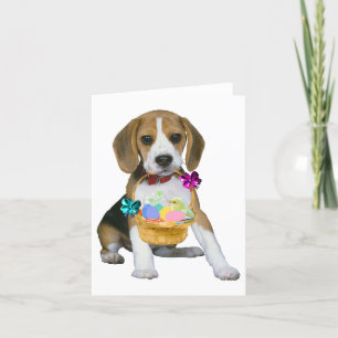 Beagle Easter Feestdagen Kaart