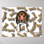Beagle en Dog Biscuits Poster (Voorkant)