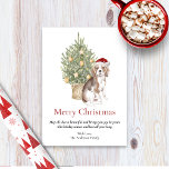 Beagle en kerstboom Pet Dog Feestdagenkaart<br><div class="desc">Deze schattige beagle met de kerstkaart is voorzien van een beagle met een kerstkleed die voor een verlichte kerstboom zit. De groet op de kaart staat: "Vrolijk kerstfeest": "Dit is allemaal mooi en het doet je plezier dat je dit vakantieseizoen en het hele jaar door van jou bent" en je...</div>