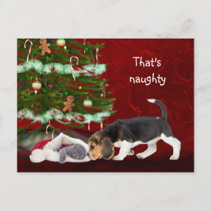 Beagle en stout kat kerst feestdagenkaart