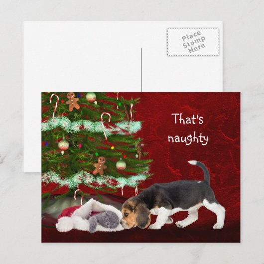 Beagle en stout kat kerst feestdagenkaart (Voorkant / Achterkant)