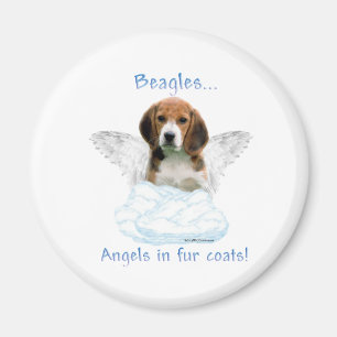 Beagle Engel - Magneet