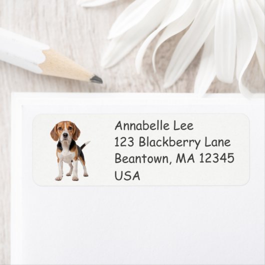 Beagle Etiket (Insitu)