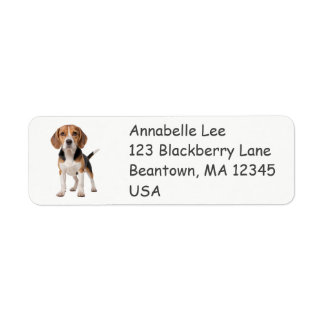 Beagle Etiket